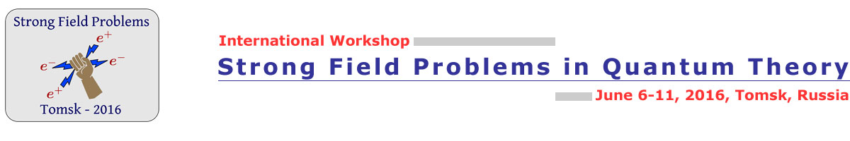International Workshop on Strong Field Problems in Quantum Theory, 6-11 June, 2016, Tomsk
